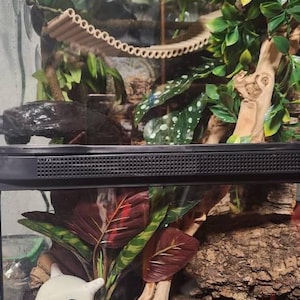 Raena added a photo of their purchase