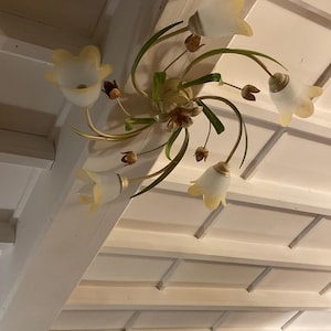 Valérie added a photo of their purchase