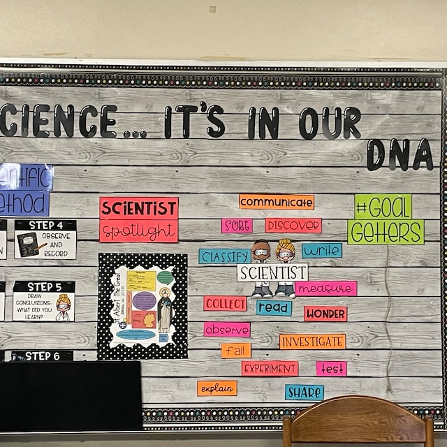 Classroom Procedures Bulletin Board ⋆ The Trendy Science Teacher