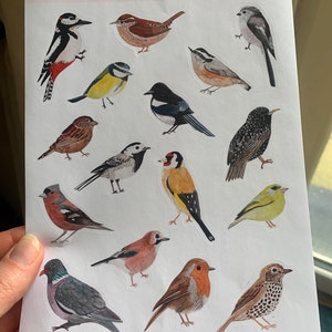 Kate added a photo of their purchase