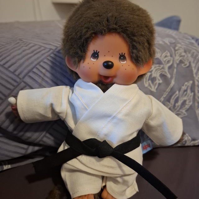 VÊTEMENTS mini taille 20 cm vêtements de poupée costume de karaté pour petite peluche singe teakwondo Gi Judo Aikodo - France VÊTEMENTS mini taille 20 cm vêtements de poupée costume de karaté pour petite peluche singe teakwondo Gi Judo Aikodo - France