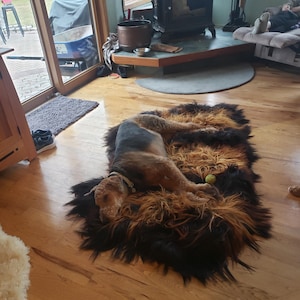 Joseph added a photo of their purchase