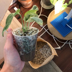 Andy added a photo of their purchase