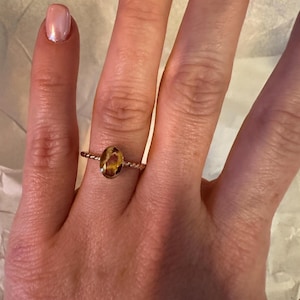 Molly さんが購入した商品の写真を追加しました