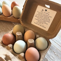 Egg Carton Label Funny Chicken Face Egg Carton Design Egg Carton ...