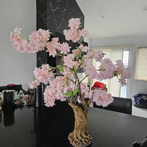 Marilyn added a photo of their purchase