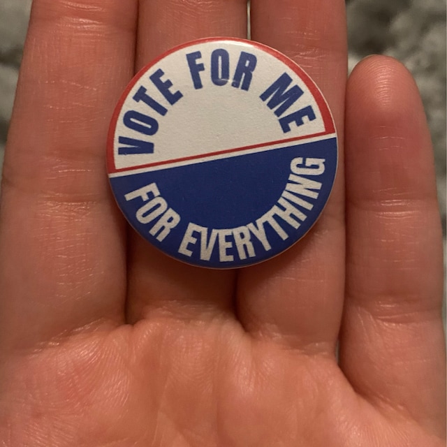 Vote For Me For Everything Sticker (Taylor Swift) – Edge of Urge