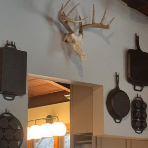 Lauren added a photo of their purchase