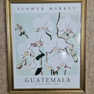 Poster De Jardin Wallario – Lac Turquoise Au Guatemala – 100x150 Cm – Résistant Aux Intempéries, Avec œillets, Made In Germany
