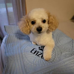 Marcy added a photo of their purchase