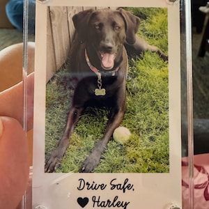Ambees added a photo of their purchase