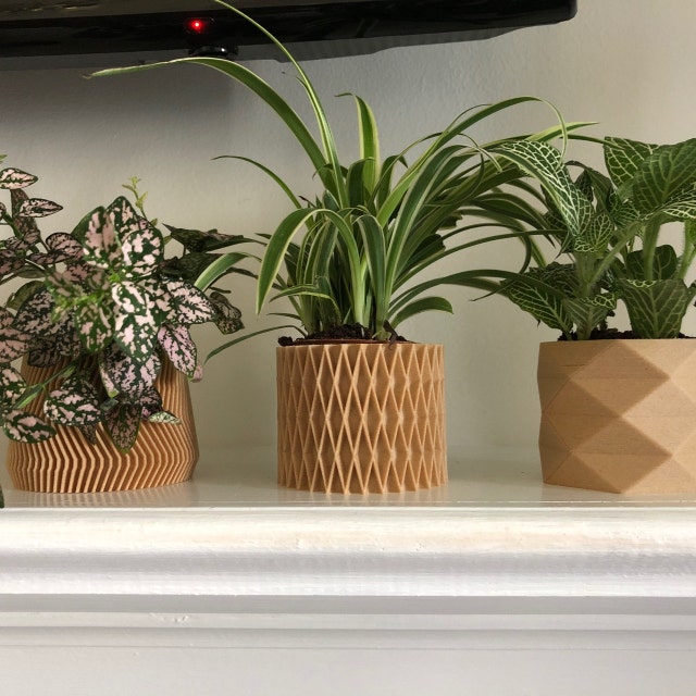 Sawoake Lot De 3 Pots De Fleurs Muraux En Bois - Déco Moderne Pour Plantes Artificielles Ou Séchées