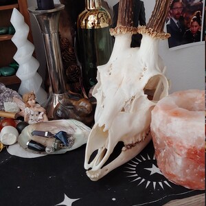 Svenja added a photo of their purchase