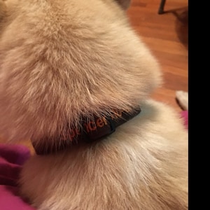 Nor added a photo of their purchase