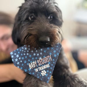 Comprador de Etsy ha añadido una foto de su compra