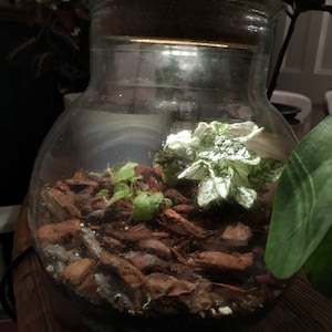 Veronika a ajouté une photo de son achat