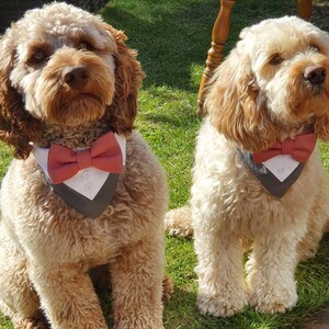 Paolo added a photo of their purchase