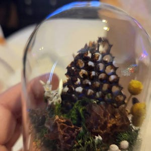 Erin added a photo of their purchase