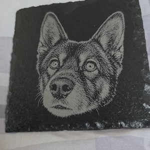 Stacie hat ein Foto des gekauften Artikels hinzugefügt