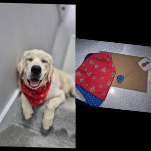 Mad added a photo of their purchase