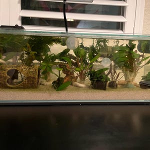 Christine added a photo of their purchase