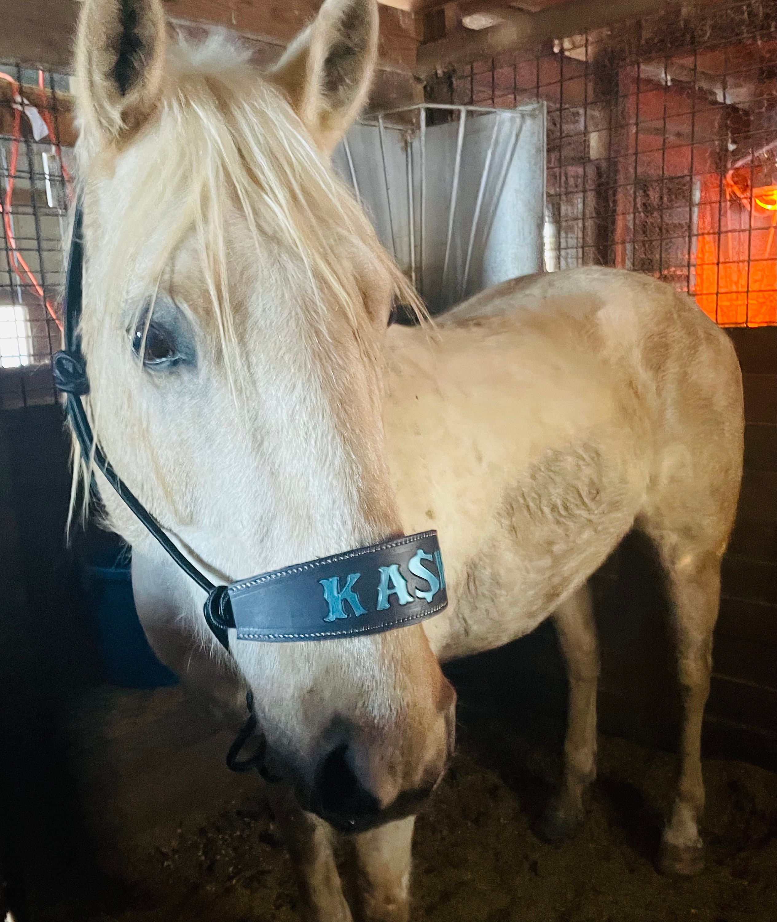 Skinny Bronc Poly Rope Halter