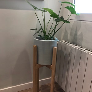 Carlos added a photo of their purchase