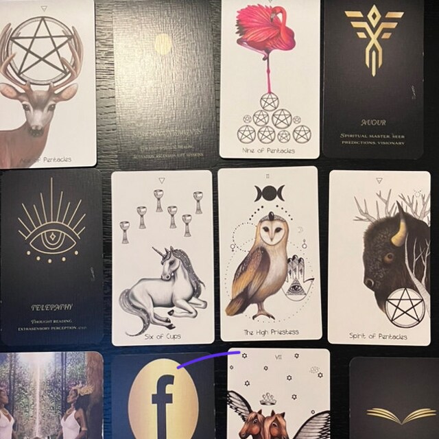 専用★未使用・正規品 The Naked Heart Tarot タロットカード Amazon.co.jp: 正規品 The Naked Heart Tarot タロットカード