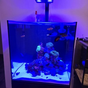 Julio added a photo of their purchase