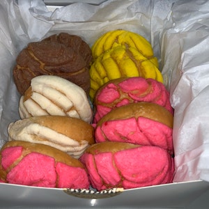 Ten Mini Conchas Mexican Sweet Bread Mini Sweet Bread 10 Count Diez Mini Conchas Pan de Huevo