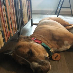 Reed added a photo of their purchase