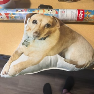 Bailey dodał(a) zdjęcie swoich zakupów