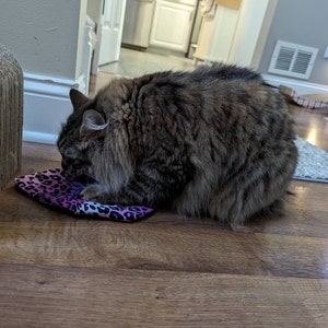 Kathryn added a photo of their purchase