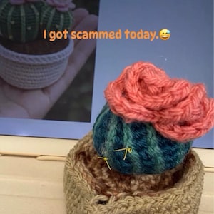 Me added a photo of their purchase