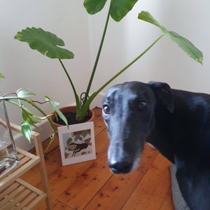 Etsy buyer added a photo of their purchase