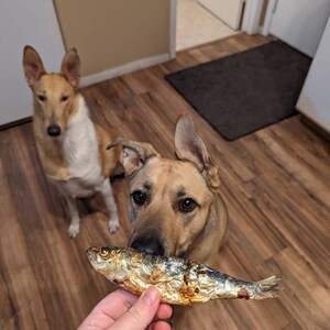 Haley added a photo of their purchase