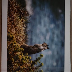 Kathryn added a photo of their purchase