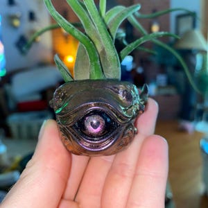 Lyndsey added a photo of their purchase