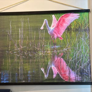 Suzanne added a photo of their purchase