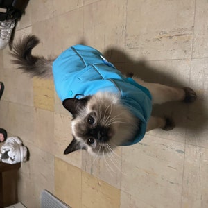 Warm Softshell Adventure Cat Jacket With Polar Fleece Inner 