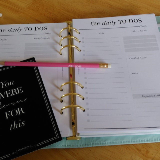  A5 Size Daily Task Planner Insert, Sized and Punched for  6-Ring A5 Notebooks by Filofax, LV (GM), Kikki K, TMI, and others. Sheet  Size 5.83 x 8.27 (148mm x 210mm) 