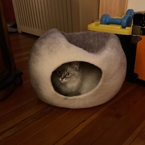 Our felted cat or dog bed is a perfect modern piece of pet bed furniture Felted warm Halloween cat nap cocoon from natural merino wool Our felted cat or dog bed is a perfect modern piece of pet bed furniture Felted warm Halloween cat nap cocoon from natural merino wool
