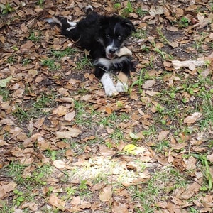 Angie added a photo of their purchase