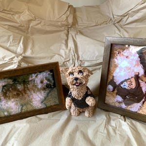 Karen added a photo of their purchase