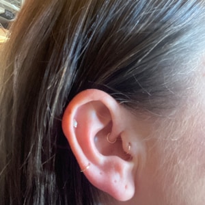 laura added a photo of their purchase