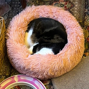 Jennifer added a photo of their purchase