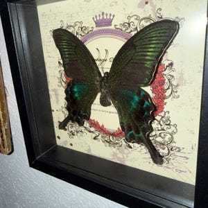 Lydia added a photo of their purchase