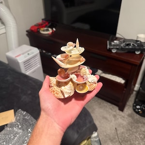 Nick added a photo of their purchase