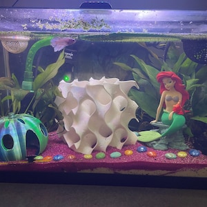 Amanda added a photo of their purchase