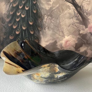 Lorraine added a photo of their purchase